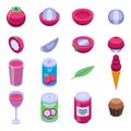 Mangosteen icons set, isometric style Royalty Free Stock Photo