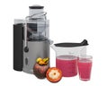 Mangosteen juice with electric juicer, 3D rendering