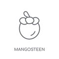 Mangosteen linear icon. Modern outline Mangosteen logo concept o Royalty Free Stock Photo