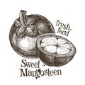 Mangosteen logo design template. fresh fruit, food Royalty Free Stock Photo