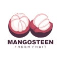 Mangosteen Logo, Mangosteen Flesh Illustration, Vitamin Rich Fruit Queen, Fruit Logo Vector Label Template Design