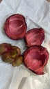 mangosteen