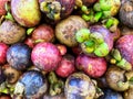 Mangosteen Royalty Free Stock Photo