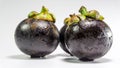 Mangosteen / Mangustan on hand