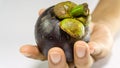 Mangosteen / Mangustan on hand