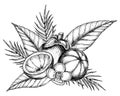 Mangosteen with palm leaves and flowers. Vector hand drawn illustration of exotic tropical Fruit painted by black inks