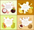 Mangosteen and Pomelo Posters Vector Illustration