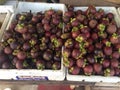 Mangosteen Royalty Free Stock Photo