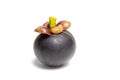 Mangosteen Queen of fruits