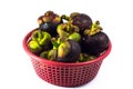 Mangosteen in red basket isolated Royalty Free Stock Photo