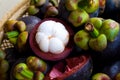 Mangosteen