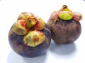 Mangosteen. A tropical fruit with sweet juicy white segments of flesh inside a thick reddish-brown rind.