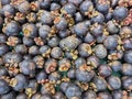 fresh mangosteen fruit in market for sale , Thailand Royalty Free Stock Photo