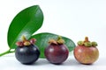 Mangosteen on white background.