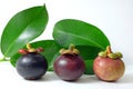 Mangosteen on white background.