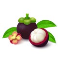 Mangosteen on white background