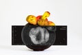 Mangosteen X-ray for cheked condition inside