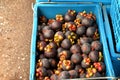 Mangosteens in baskets on ground at fruit market. Royalty Free Stock Photo