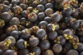 Mangosteens in fruits buffet festival at shop in Rayong, Thailand