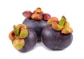 Mangosteens isolated on white background Royalty Free Stock Photo