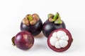 Mangosteens Queen of fruits,mangosteen on white background