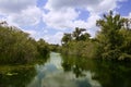 Mangroove river in everglades Florida Royalty Free Stock Photo