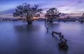 Mangrove beach at Cape Panwa in Phuket, Thailand Royalty Free Stock Photo