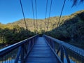 Mangrove Boardwalk at Bobbin Head in the Early in the Morning