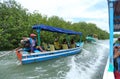 Mangrove boat ride