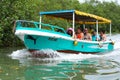 Mangrove boat ride