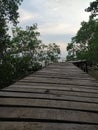 Mangrove bridge in small village