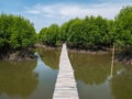 Mangrove Bridge Where People Walk Around Mangrove Tree
