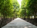 Mangrove Bridge Where People Walk Around Mangrove Tree Royalty Free Stock Photo