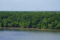 Mangrove estuary of river in Malaysia. Mangrove forest and shallow waters in a tropical island. Mangrove plants on the river bank Royalty Free Stock Photo