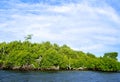 A mangrove, of the family Rhizophoraceae, island on a sunny morning.