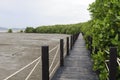 Mangrove forest Boardwalk