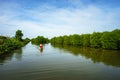 Mangrove forest with boat running in Ca Mau province, Mekong delta, south of Vietnam Royalty Free Stock Photo