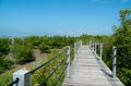 Mangrove forest with bridge Walkway and blue sky at Tanjung Piai National Park, Malaysia Royalty Free Stock Photo