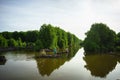 Mangrove forest in Ca Mau province, Mekong delta, south of Vietnam Royalty Free Stock Photo