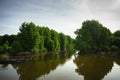 Mangrove forest in Ca Mau province, Mekong delta, south of Vietnam Royalty Free Stock Photo