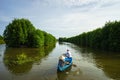 Mangrove forest with fishing boat in Ca Mau province, Mekong delta, south of Vietnam Royalty Free Stock Photo