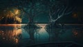 Mangrove forest at night in Thailand, vintage style. Royalty Free Stock Photo