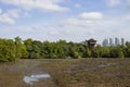 Sungei Buloh wetland reserve Singapore Royalty Free Stock Photo