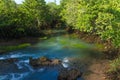 Mangrove forest and a river landscape at Thapom, Klong Song Nam, Krabi, Thailand Royalty Free Stock Photo