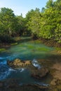 Mangrove forest and a river landscape at Thapom, Klong Song Nam, Krabi, Thailand Royalty Free Stock Photo