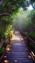 Mangrove forest scene Wooden bridge for tranquil outdoor experiences