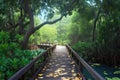 Mangrove forest scene Wooden bridge for tranquil outdoor experiences