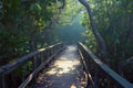 Mangrove forest scene Wooden bridge for tranquil outdoor experiences