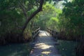 Mangrove forest scene Wooden bridge for tranquil outdoor experiences