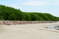 Mangrove forest in sea shore aerial roots at Phetchaburi ,the Gu Royalty Free Stock Photo